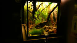 Sicht vom Schreibtisch...so lässts sich arbeiten