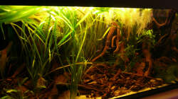 Aquarium 112 Südamerika,N