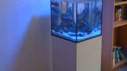Aquarium NanoReef