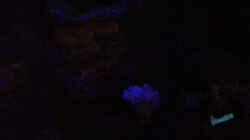 Nachtaufnahme LED blau