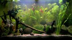 Altes hauptbild vom 09.01.10