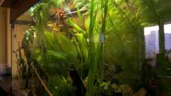 Schräg von der Seite