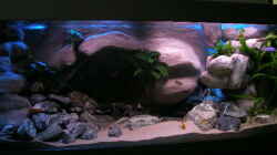 Dekoration im Aquarium 672L Mbuna Becken - nur noch als Beispiel -