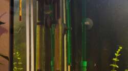 Technik im Aquarium Diskus