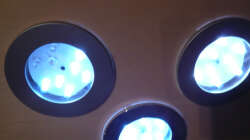 Technik im Aquarium Fotokasten