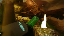 Technik im Aquarium M. r.+A. sp.r.F.