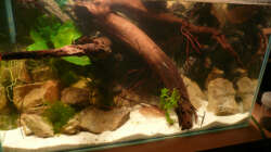 Aquarium M. r.+A. sp.r.F.