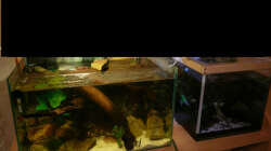 Aquarium M. r.+A. sp.r.F.