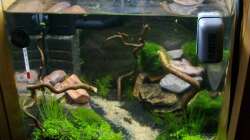 so sah es bisher aus. Gefiel mir aber dann doch nicht so...