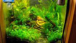 Aquarium Nur noch Beispiel!!!