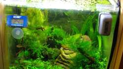 Aquarium Nur noch Beispiel!!!