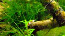 Kraxel-Nele.... muss ja alles untersucht werden!