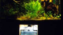 Aquarium Nur noch Beispiel!!!