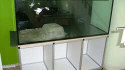 Aquarium Parafreie 540L