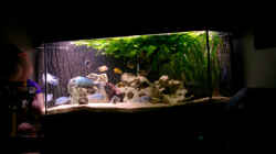 Aquarium Becken 169