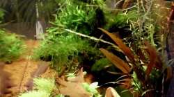 von der linken Seite aus ins Becken