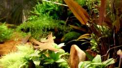 nochmal von der Seite