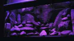 Dekoration im Aquarium BLACK ROCK