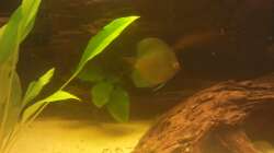 mein Kleiner unter/ in der Wurzel