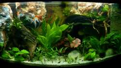 Gesamtansicht 30.12.12