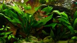 Beckenmitte 16.07.13