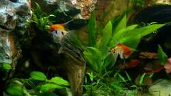 linke Beckenseite 30.12.12