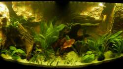 Gesamtansicht 29.12.12 nur mit LED