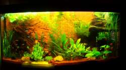 Ersteinrichtung nach 3 Wochen 17.06.10