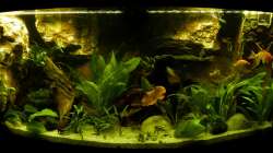 Frontansicht 30.12.12 nur mit LED