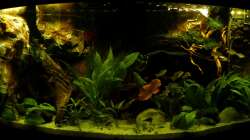 Gesamtbild nur mit LED-Beleuchtung am Morgen des 31.12.12