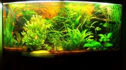 Frontansicht 30.07.10