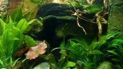 rechte Beckenseite 30.12.12