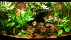 Frontansicht 08.04.12