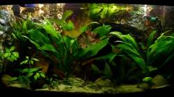 Gesamtansicht am 16.07.13