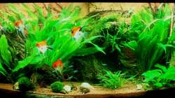 Frontansicht 31.12.10