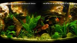 Frontansicht nur mit LED-Beleuchtung 30.12.12