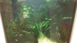 Aquarium Gesellschaftsbecken Viersen