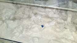 2te schicht kommt drauf