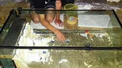 2te Schicht drauf (von 4)