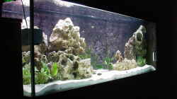 Aquarium Becken 178