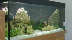 Aquarium Becken 178