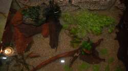 Bei der Einrichtung III