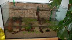 Bei der Einrichtung II