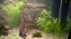 Frisch eingerichtet...