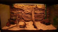 Bei der EInrichtung...