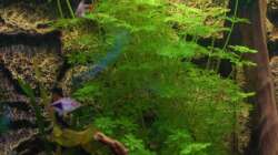 So einiges andere auch...