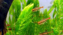 fühlen sich wohl...