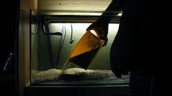 Step 4-Kies auffüllen