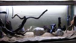 Die Hälfte ist geschafft...