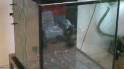 Historie: ´Trocken-Installation´